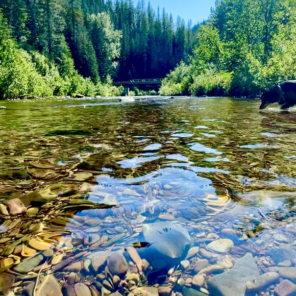 Meet your Posher, Laryssa - Picture 10 of 16